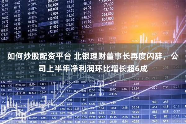 如何炒股配资平台 北银理财董事长再度闪辞，公司上半年净利润环比增长超6成