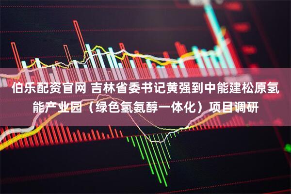 伯乐配资官网 吉林省委书记黄强到中能建松原氢能产业园（绿色氢氨醇一体化）项目调研