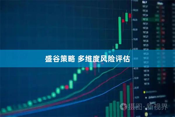 盛谷策略 多维度风险评估